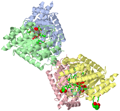 Image Asym./Biol. Unit - sites