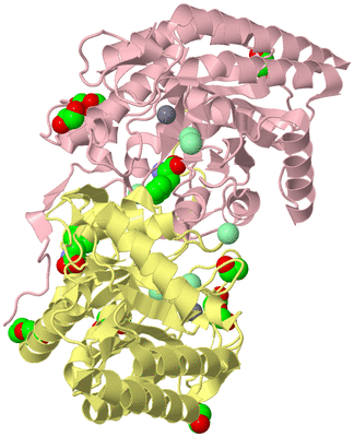 Image Asym./Biol. Unit