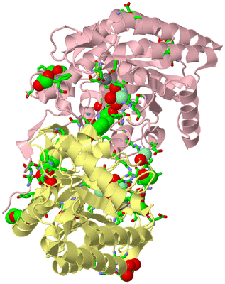 Image Asym./Biol. Unit - sites