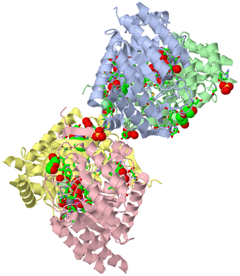 Image Asym./Biol. Unit - sites