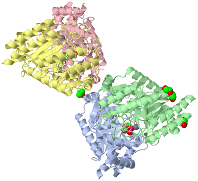 Image Asym./Biol. Unit