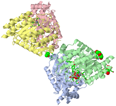 Image Asym./Biol. Unit - sites