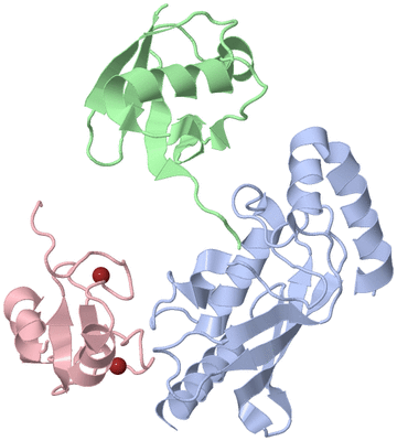 Image Biological Unit 1