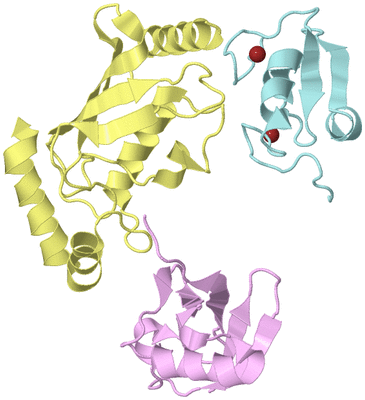 Image Biological Unit 2