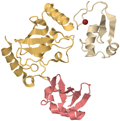 Image Biological Unit 3