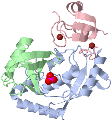 Image Asym./Biol. Unit