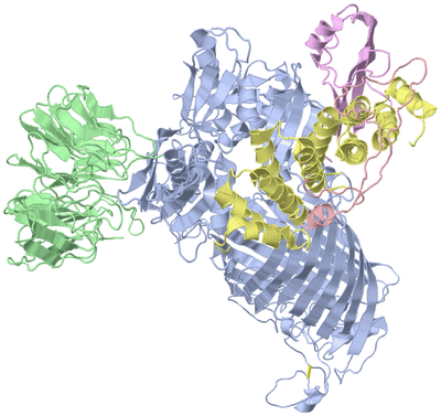 Image Asym./Biol. Unit