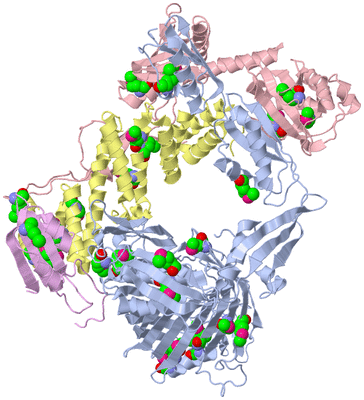 Image Biological Unit 1