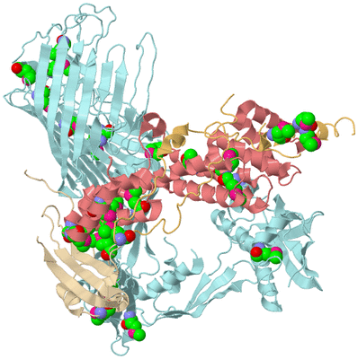 Image Biological Unit 2