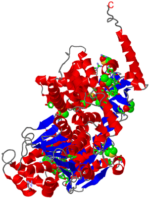 Image Asym./Biol. Unit - sites