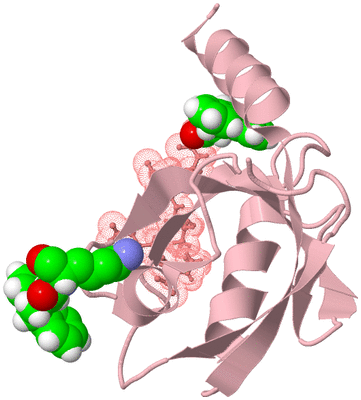 Image Biological Unit 3