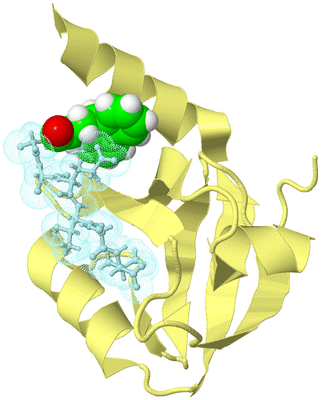 Image Biological Unit 4