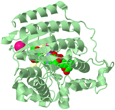 Image Biological Unit 2