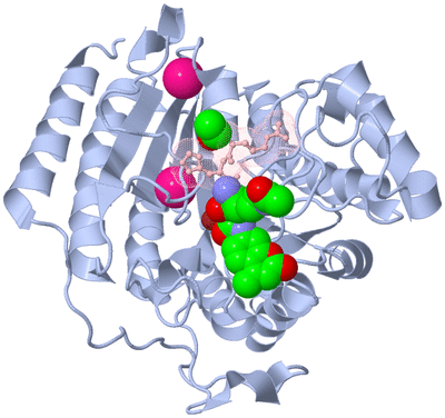 Image Biological Unit 1