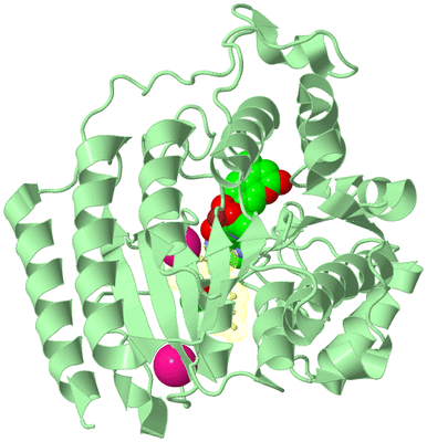 Image Biological Unit 2