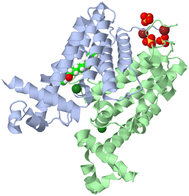 Image Asym./Biol. Unit