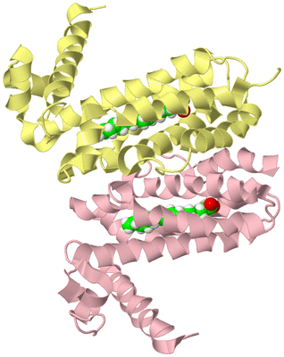 Image Biological Unit 2