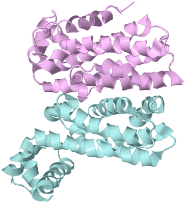 Image Biological Unit 3