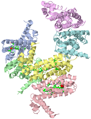 Image Asym. Unit - sites