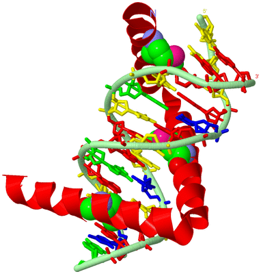 Image Asym./Biol. Unit