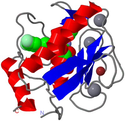 Image Asym./Biol. Unit