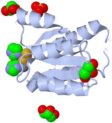 Image Biological Unit 1