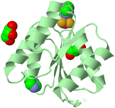 Image Biological Unit 2