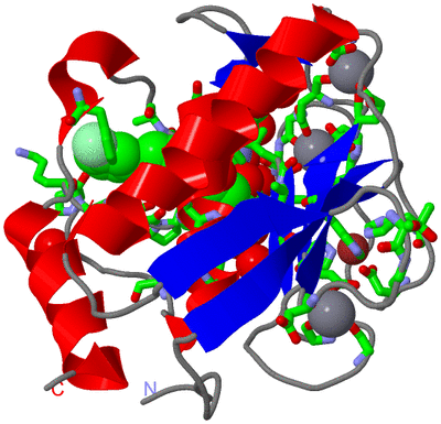 Image Asym./Biol. Unit - sites