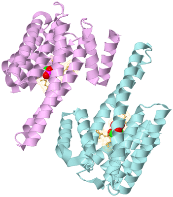 Image Biological Unit 2