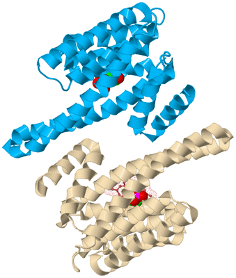 Image Biological Unit 3