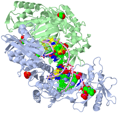 Image Biological Unit 1