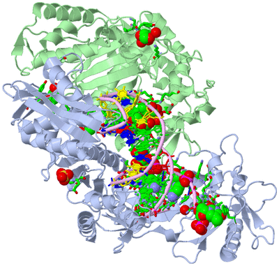 Image Biol. Unit 1 - sites