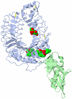 Image Asym./Biol. Unit