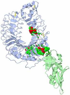 Image Asym./Biol. Unit - sites