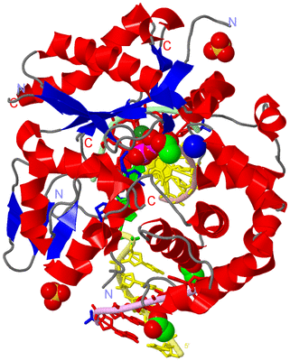 Image Asym./Biol. Unit