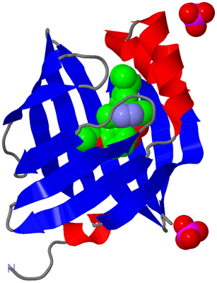 Image Asym./Biol. Unit