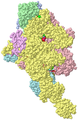 Image Biol. Unit 1 - sites