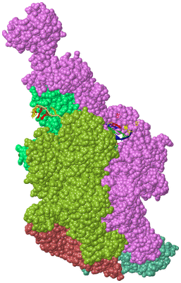 Image Biological Unit 2