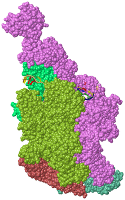 Image Biological Unit 2