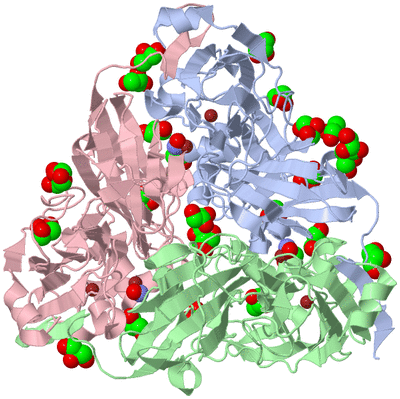 Image Asym./Biol. Unit