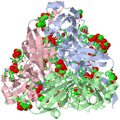 Image Asym./Biol. Unit - sites