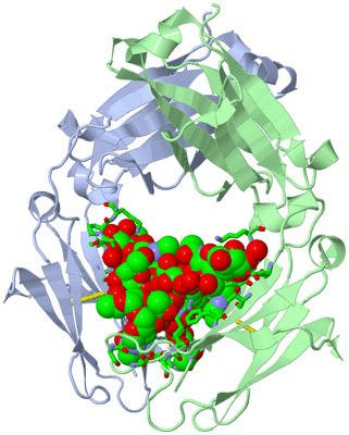 Image Asym./Biol. Unit - sites