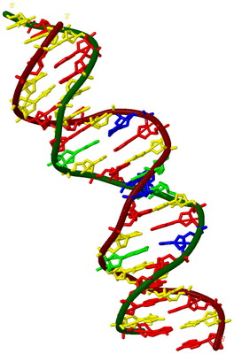 Image Biological Unit 2