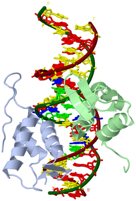 Image Biological Unit 3