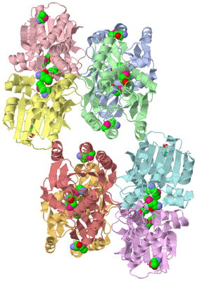 Image Asymmetric Unit