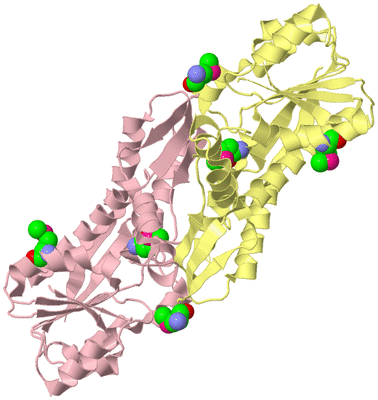 Image Biological Unit 2