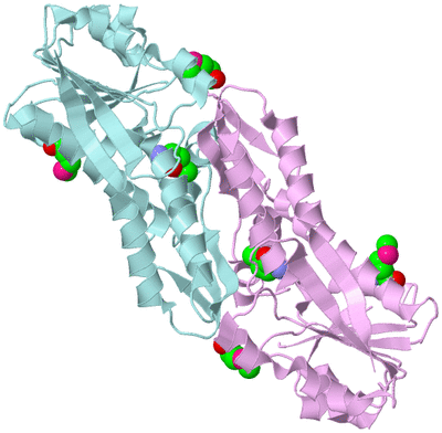 Image Biological Unit 3