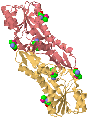 Image Biological Unit 4