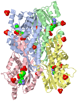 Image Asymmetric Unit