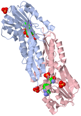 Image Biological Unit 1